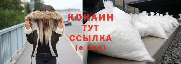 прущий лед Алзамай