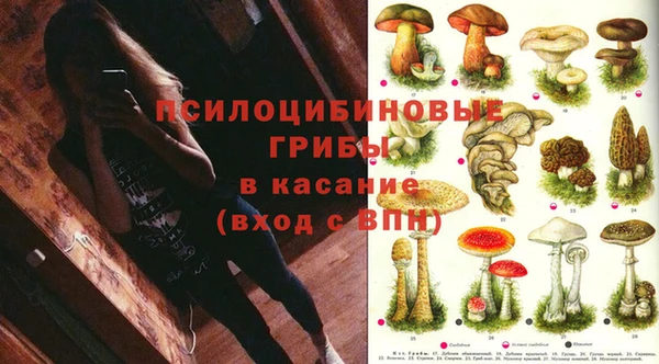 a pvp Алексин