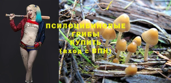 a pvp Алексин