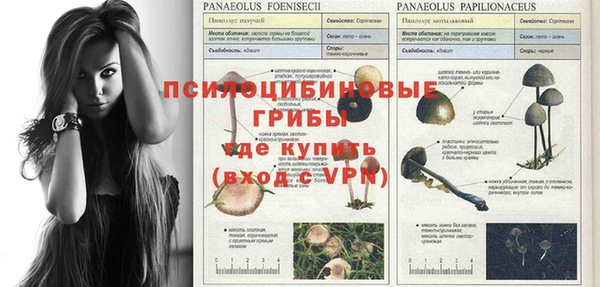 a pvp Алексин