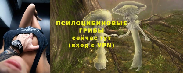 дурь Алексеевка
