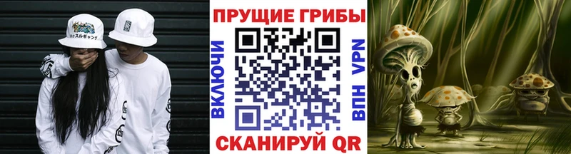 Псилоцибиновые грибы Psilocybine cubensis  Купить где  Краснообск 