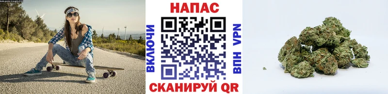 Купить где  Краснообск  Шишки марихуана OG Kush 